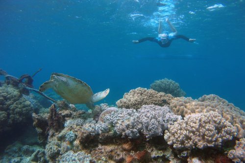 Why Climate Change Is Quietly Killing Our Oceans—And Nobody’s Talking About It