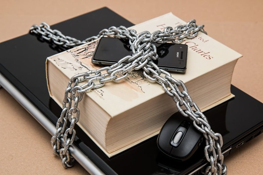 Check out a complete guide to cybersecurity for businesses!